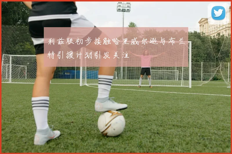 利兹联初步接触哈里威尔逊与布兰特引援计划引发关注